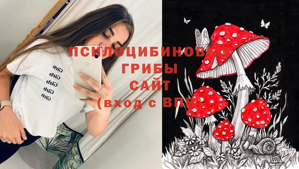 трава Нягань