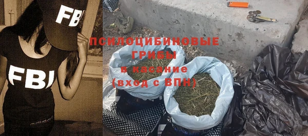 альфа пвп Няндома