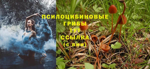 соль курить ск Алексеевка