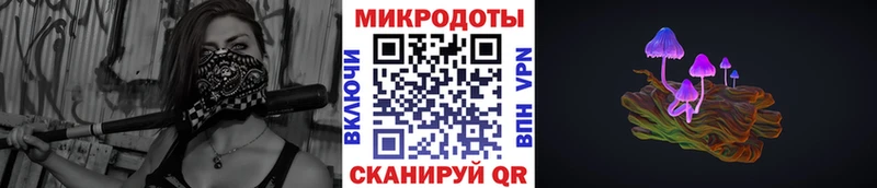 Галлюциногенные грибы Psilocybine cubensis  Льгов 